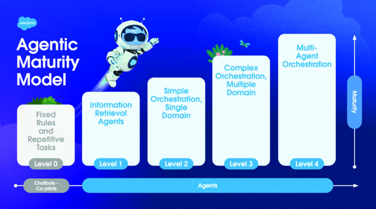 Salesforce Maturity Model