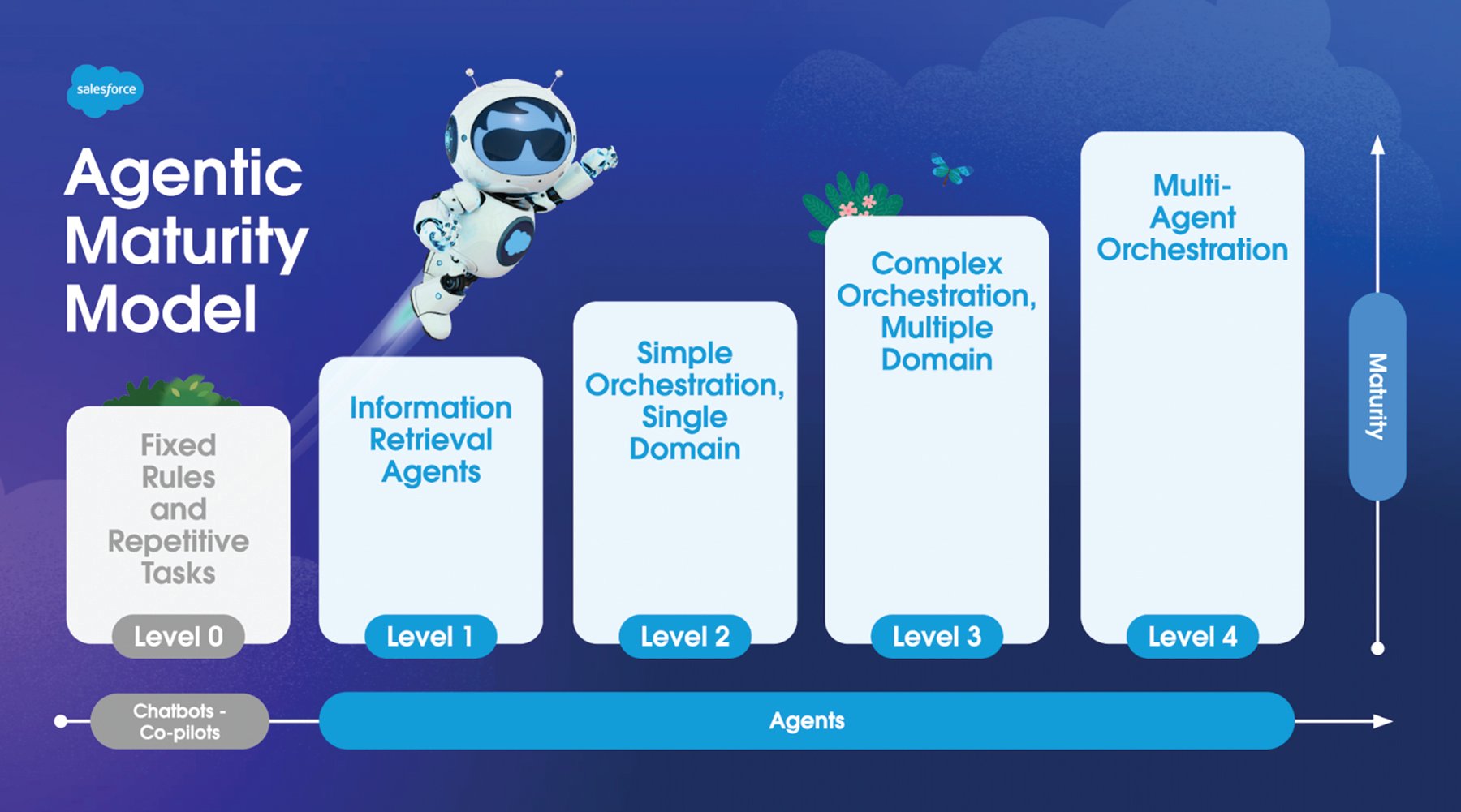 Salesforce Maturity Model